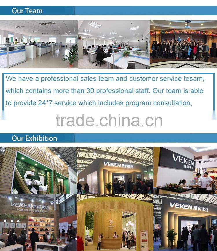 VK-B0175 320TC Plain Fantasy Bedding Set