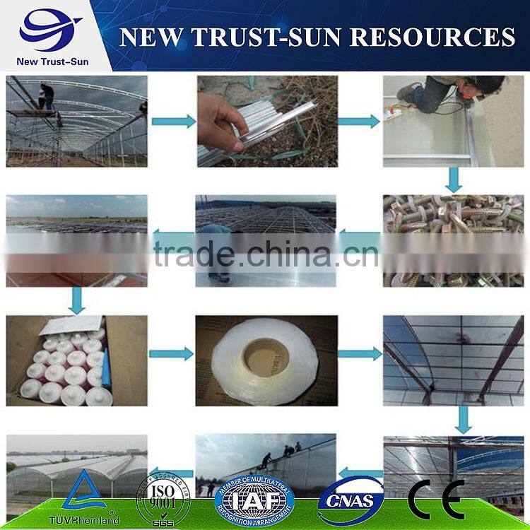 Low cost muti-span PVC/PE/Plastic greenhouse for flower/vegetable growing