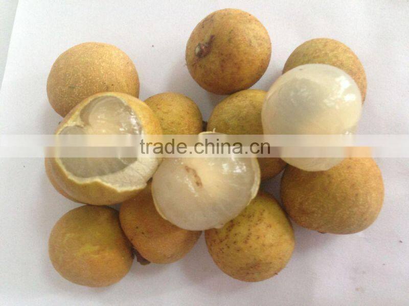 100% sweet,juicy,health longan thai fruit fresh