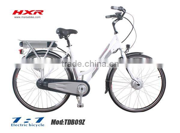rear Luggage carrier battery ebike /electric bicycle