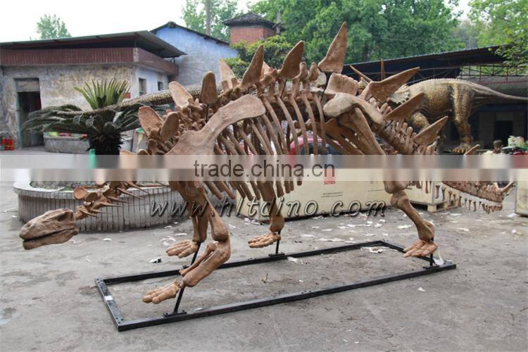 Dinosaur skeleton from Zigong HLT dinosaur skeleton manufacture