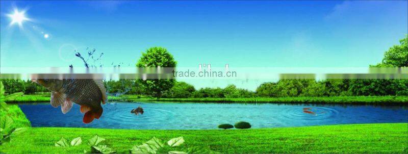 JUNCHONGSUMIE-aquaculture use kill virus antibacterial insecticide disease prevention