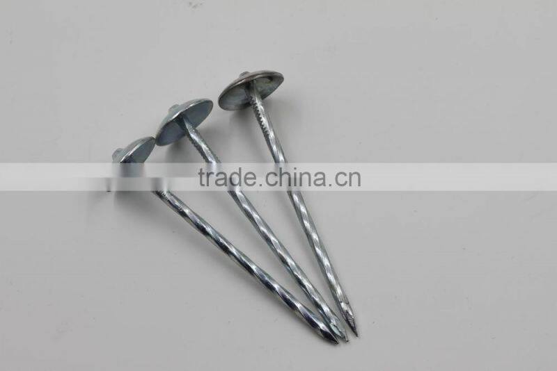 Galvanized Umbrella large head roofing nails