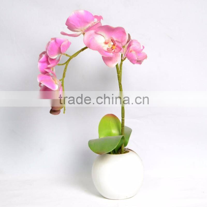 Artificial Silk Phalaenopsis Orchids Centerpiece in Ceramic Base