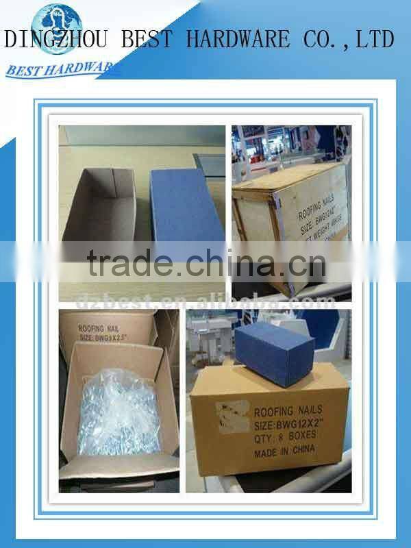 low price galvanizaed roofing nail with umbrella head