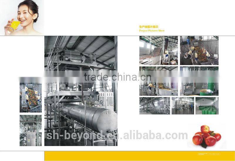 Complete Apricot Fruit Processing Line