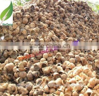 No smoke no odor no spark coconut shell charcoal briquettes for barbecue