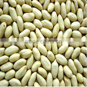 Shandong organic roasted and blanched peanut