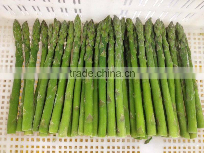 wholesale IQF green asparagus