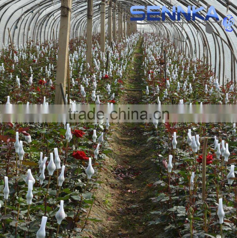 Quality fresh cut flower in China /design roses/jasmine/decorative natural flowers
