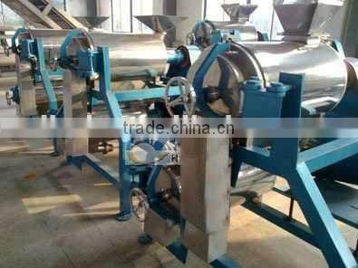 wide output range full stainless steel apple pluping machine