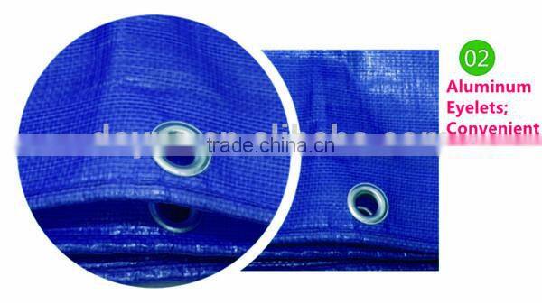 Plasitc tarpaulin with eyelet,waterproof and dust proof tarpaulin stand