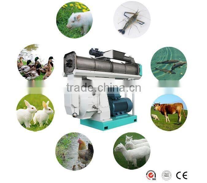 Sri lanka Factory Price CE poultry farm equipment for sale