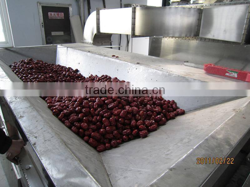 Industrial tunnel type microwave red dates dryer & sterilizer
