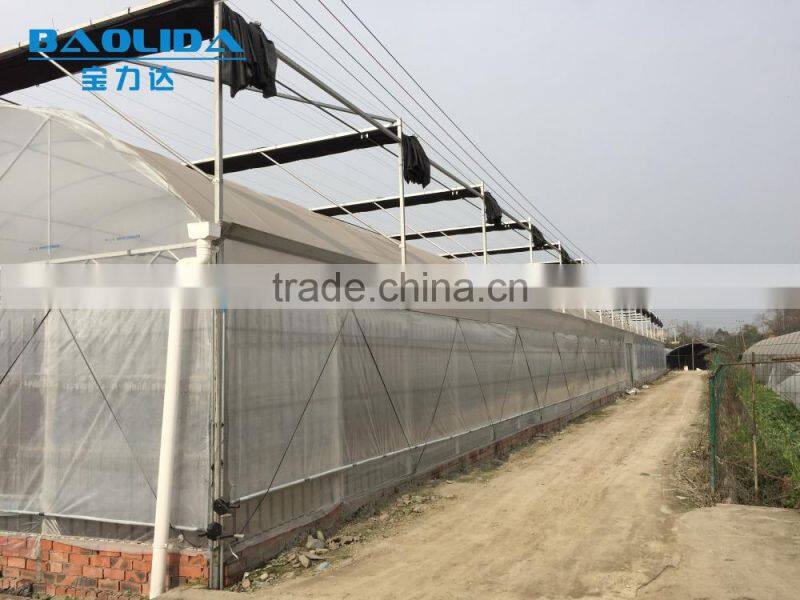 BLD Large Multi-span plastic film Greenhouse commercial use