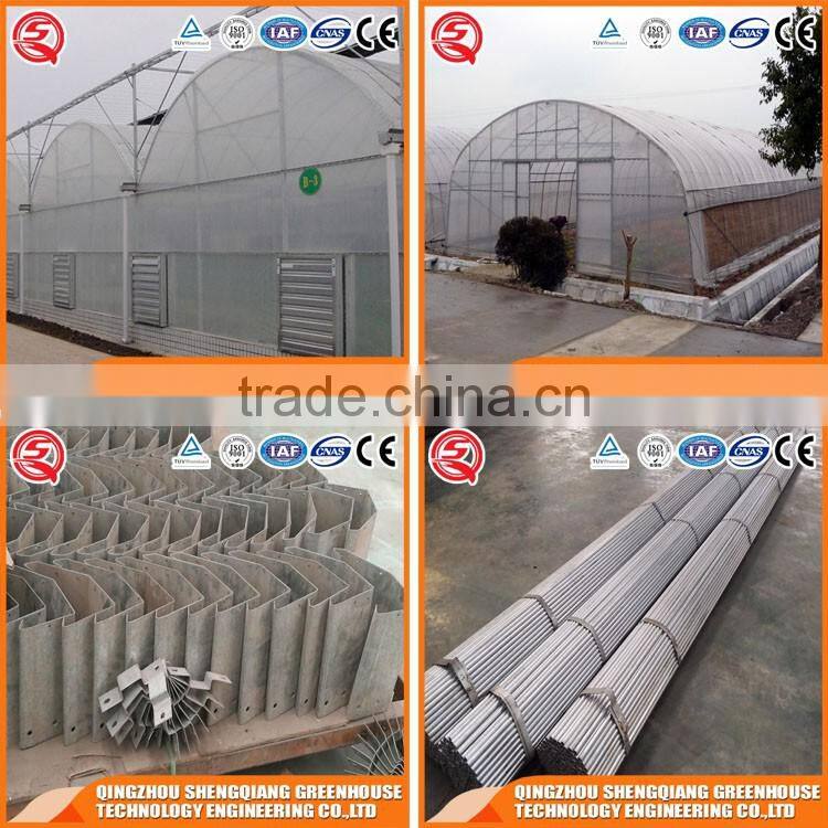 Greenhouse with double/single plastic for plant tomato and flowers made in China