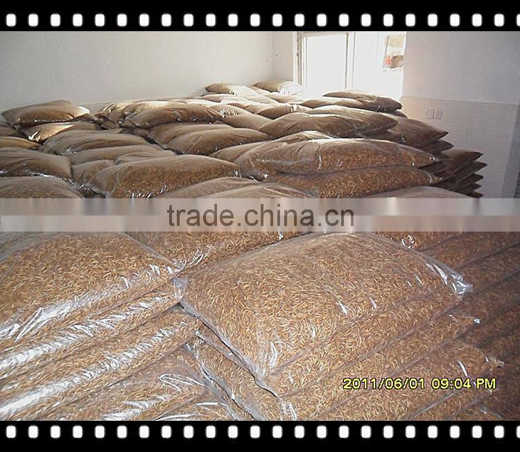 Bird Foods 2.5--2.8 cm Microwave Dried Yellow Mealworms