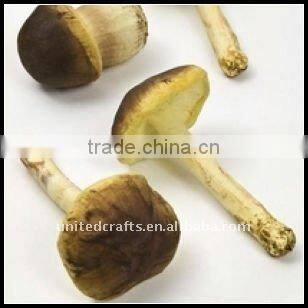 LOOK !!! 2011 BEST-SELLING artificial carrot vegetable