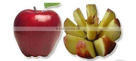 New Apple Fruit Stainless Steel Blade Cutter Corer