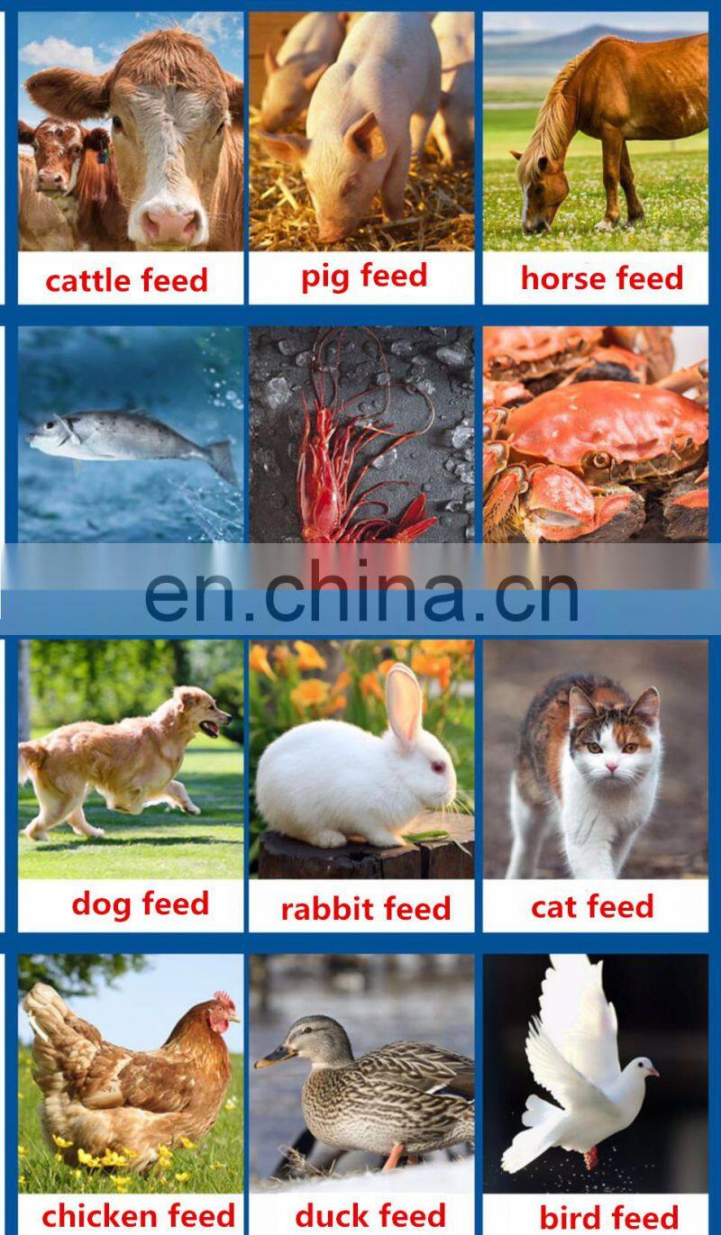 Small pet fish Shrimp Food Making Extruder Floating Fish Feed Pellet Machine