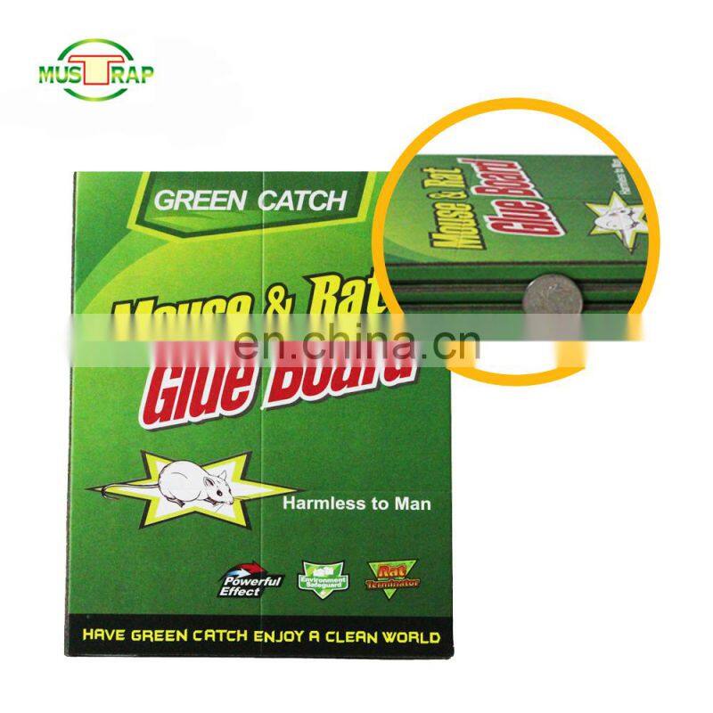 Sticky Cardboard Mice Gum Trap Paper Pad Traps Rat Glue Mouse Trap