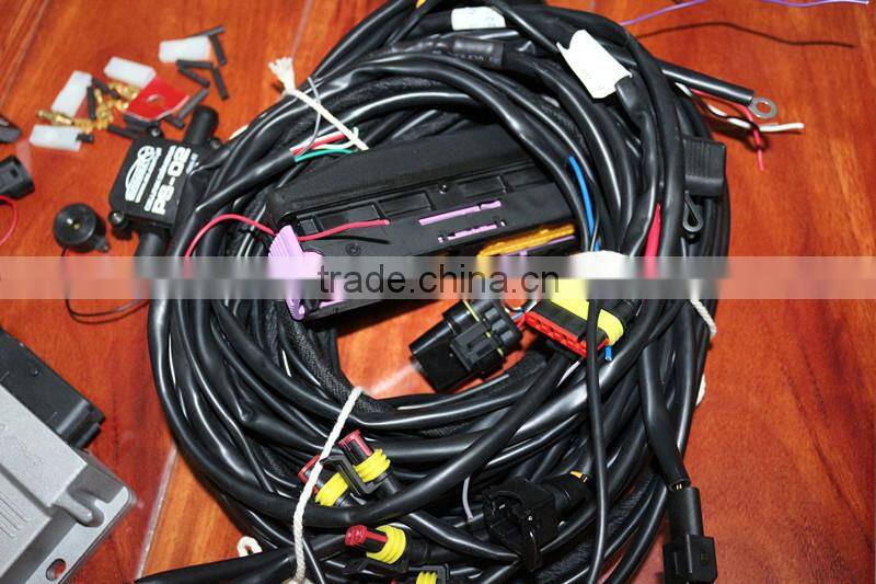 wiring harness ecu