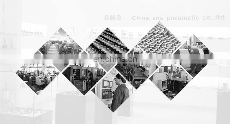 SNS 4V230-08 series inlet double coils pilot-operated electric solenoid valve