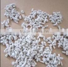 Cotton Seed Color Sorting