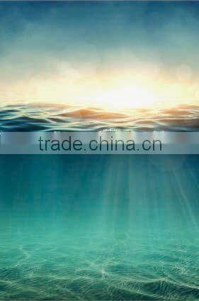 2016 new prefab shower enclosures ocean sunrise 3D digital printing glass Frameless and accessories available villa shower room