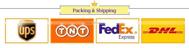 TR China Supplier Optical Eyeglasses Frame