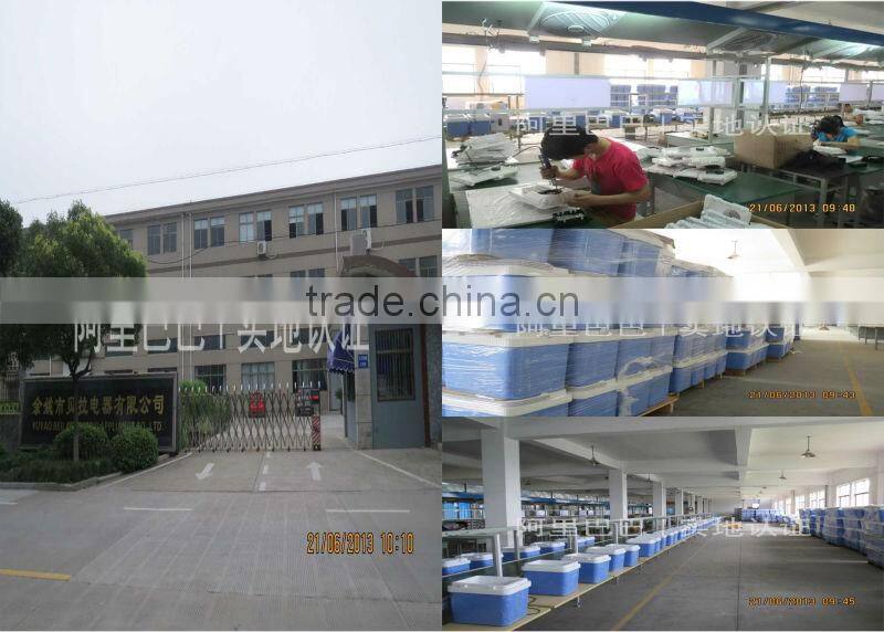 china supplier 8 liters portable mini icebox for car,cheap cooler&warmer box