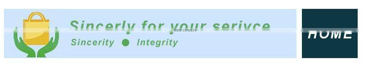 Electronic UV Automatic Pet Water Fountain with LED light