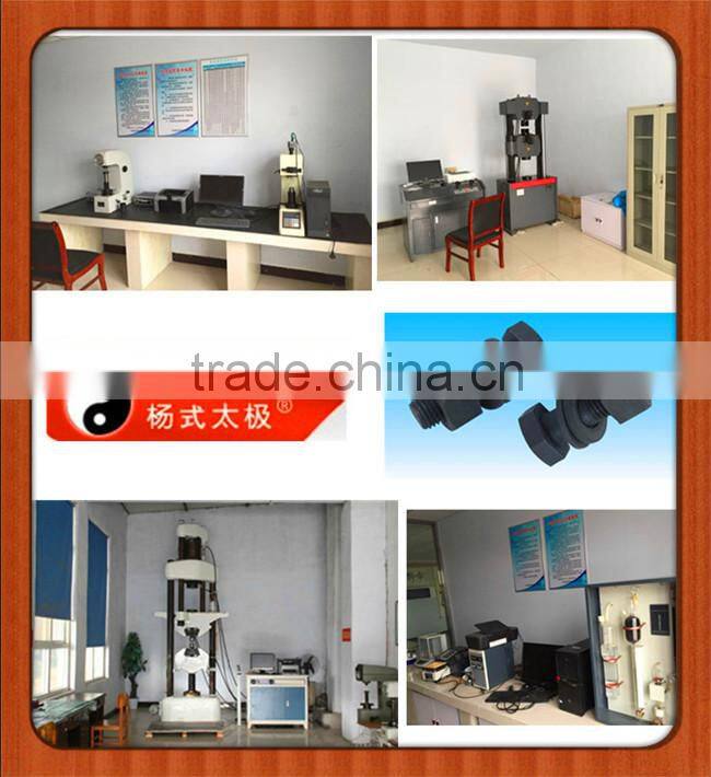 tor shear connection bolt