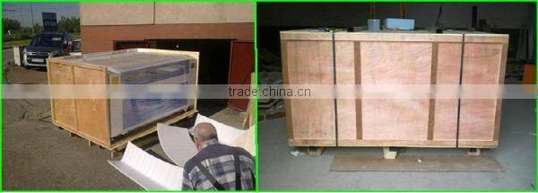 Hot sale in Singapore!!! laser engraving machinery USB 900*600mm