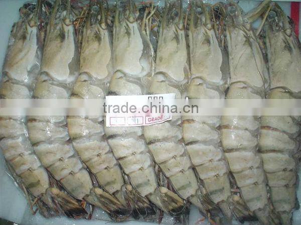 frozen black tiger shrimp