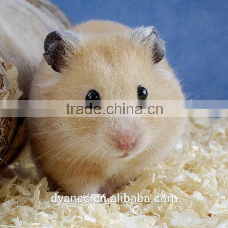 Dyan machiner top brand wood shaving machine