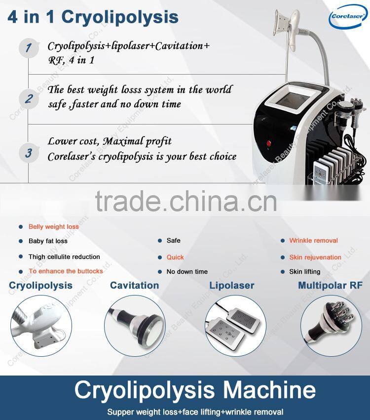 Advanced Cryotherapy Fat Reduction Equipment