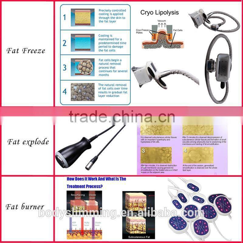 Cavitation +RF+Lipo Laser+ Cryolipolysis / Slim Freeze Belt Cryosunction Freezing Machine