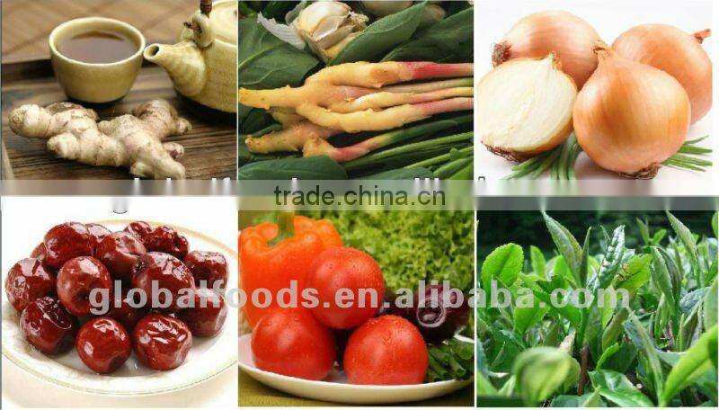 Dried Ginger Dehydrated Ginger dry Ginger Flakes