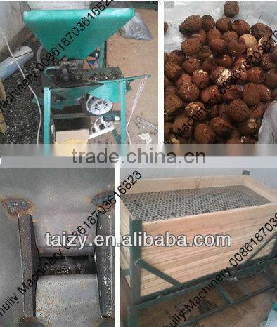 lotus seed machine//008618703616828