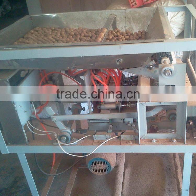 Good quality automatic Macadamia nut tapping machine for sale