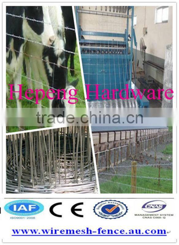 China Grassland Fence wire (ISO 9001 and CE)