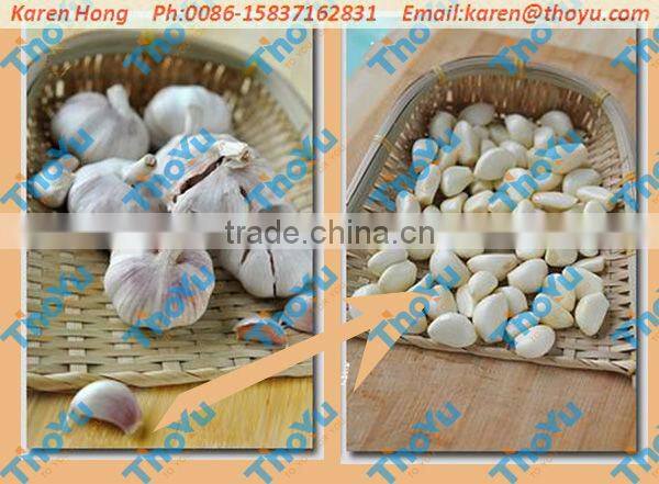 2016 best quality Garlic peeler machine/stainless steel garlic peeling machine made by 304stainless steel