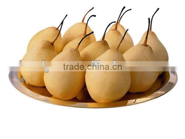 hot sale hot sale fruit peeler/ apple peeler
