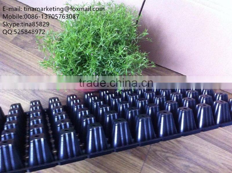 High Quality Vegetable Plastic Nursery Seedling Tray Black Plastic Plant Seed Growing Tray