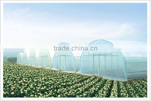 Single-Span Hot-Dip Galvanized Steel Pipe Frame 200mm PVC Film Covered Greenhouse