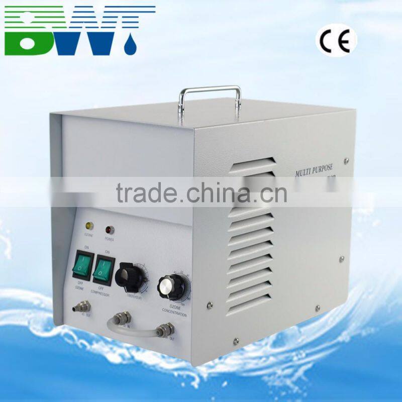 300 mg/h household ozone generator water purifier ozone purifier