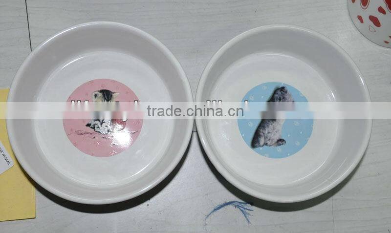 Pretty Round Decaled Cat Bowl