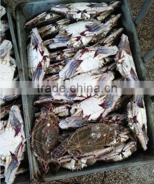 seafood importers of crab