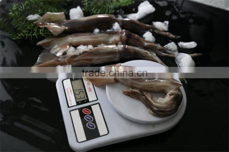 Frozen Squid 150-200g